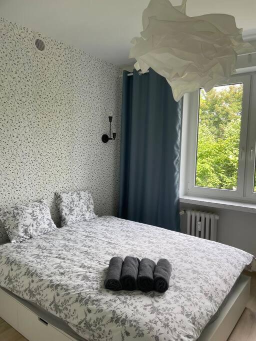 Apartament Kattowitz Sokolska 외부 사진